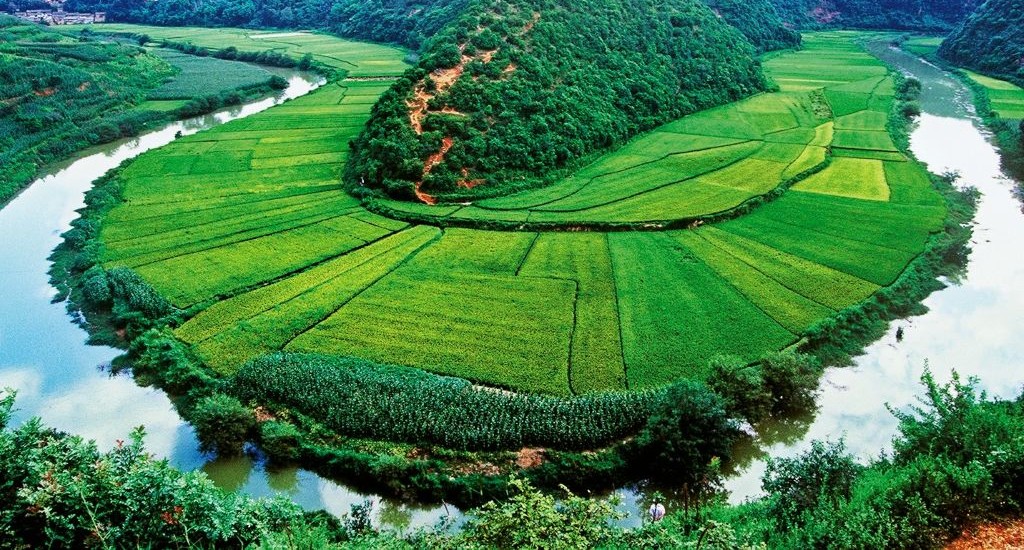 Chine