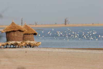 PALMARIN (Sine Saloum)