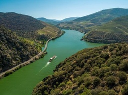 La voie royale du porto