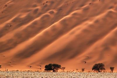 Dunes rouges du Namib